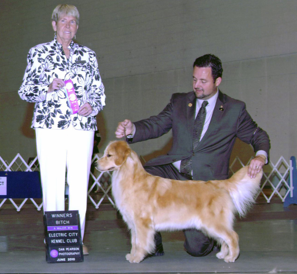 Memories – Harborview Golden Retrievers Erie PA